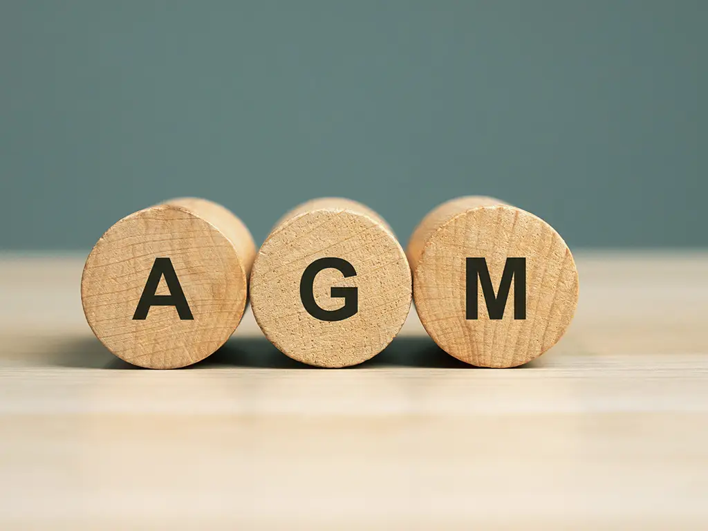 Wooden blocks with the word AGM - Annual general meeting.