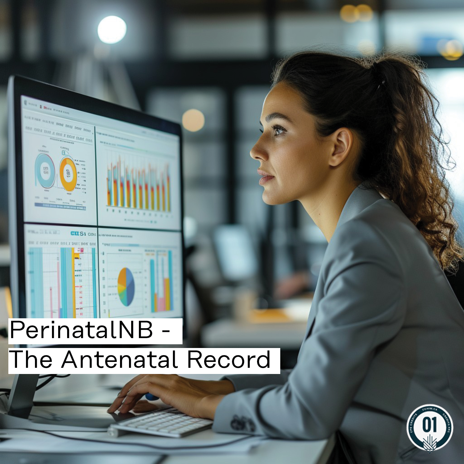 PerinatalNB - The antenatal Record