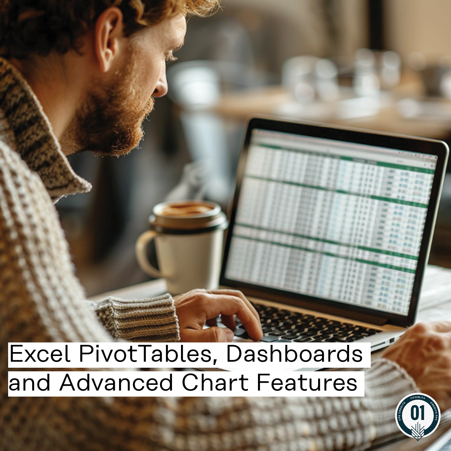 0360 Excel PivotTables, Dashboards and Advanced Chart Features